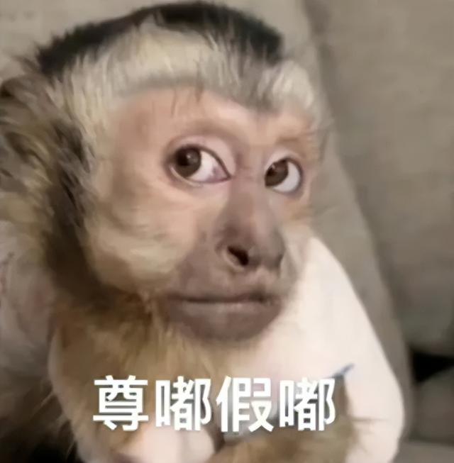 刘德华，依然能打