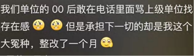 单位00后，在电话里怒骂上级单位找存在感，随后我们整改了一个月