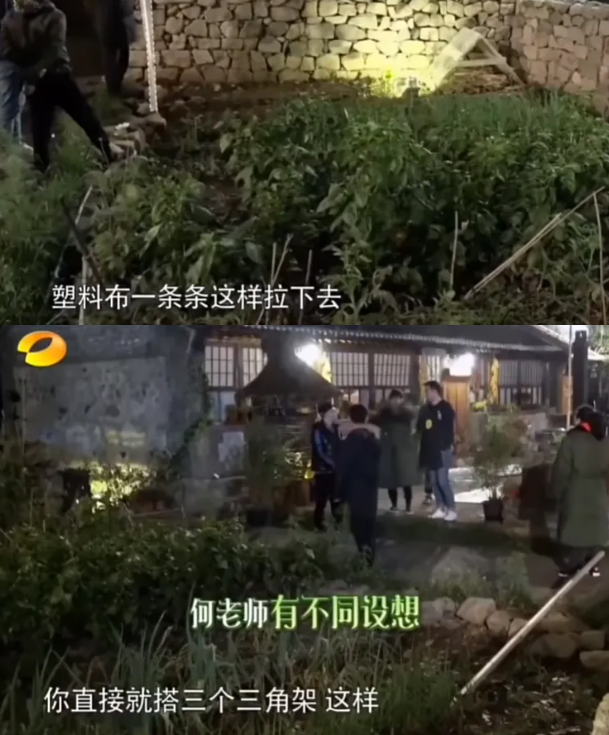 出道三十年,再次出席金鹰奖的何炅,面相变了:我忍黄磊很久了