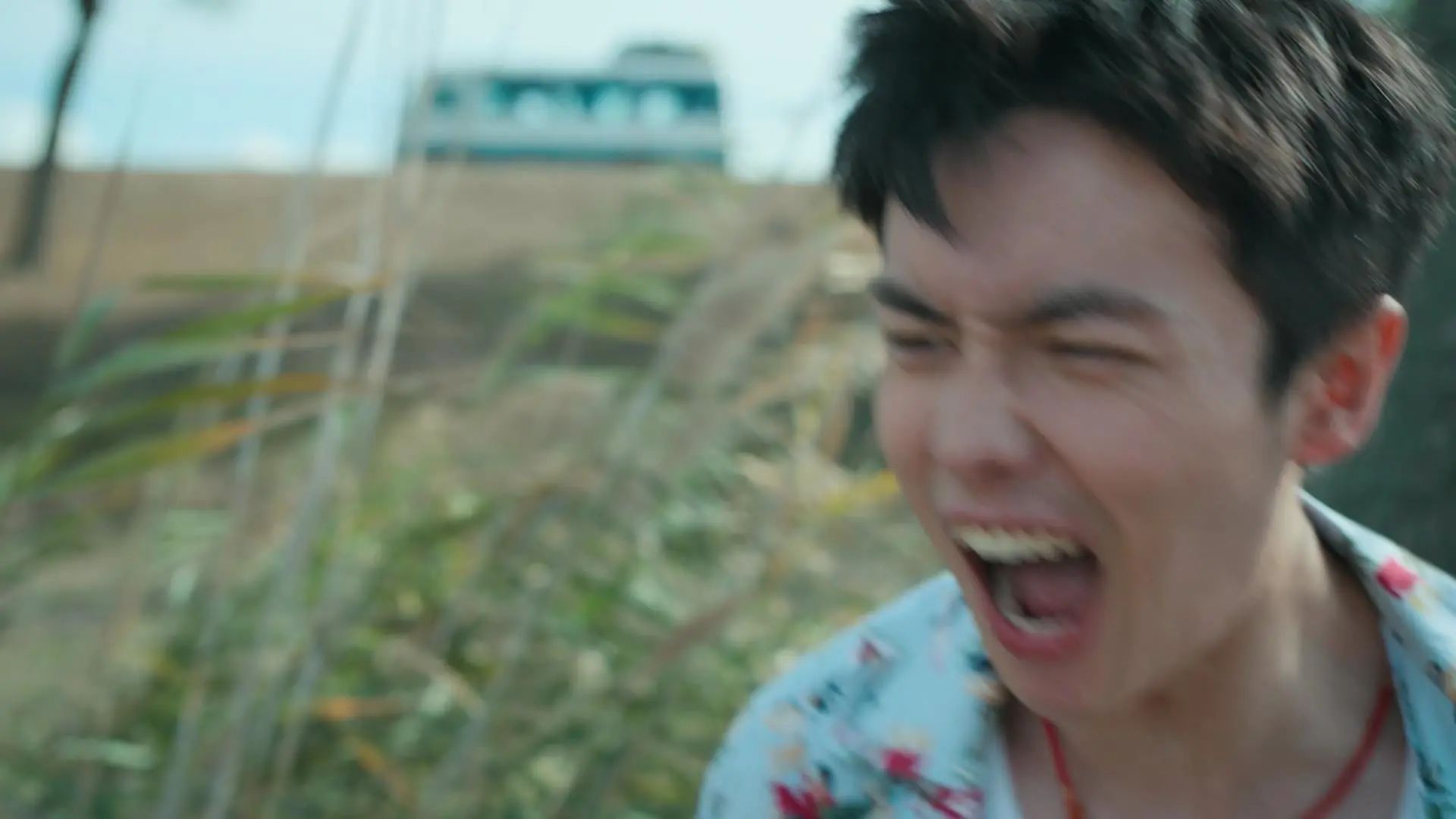 央视《迎风的青春》开播，连看2集，我要说：央视果真又淘到宝了