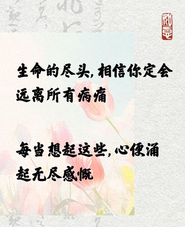 金守美猝逝！死因出炉「血糖飙破500」 儿子恸：生前没拿到出演费