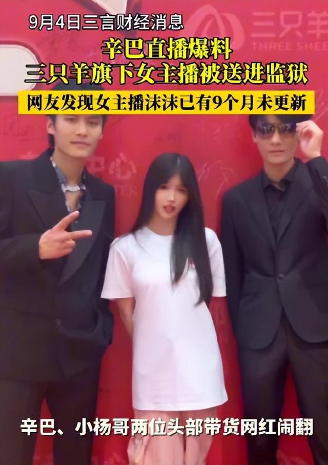 炸裂了,多方证实三只羊沫沫被抓,和卢文庆老婆有关,隐情全曝光