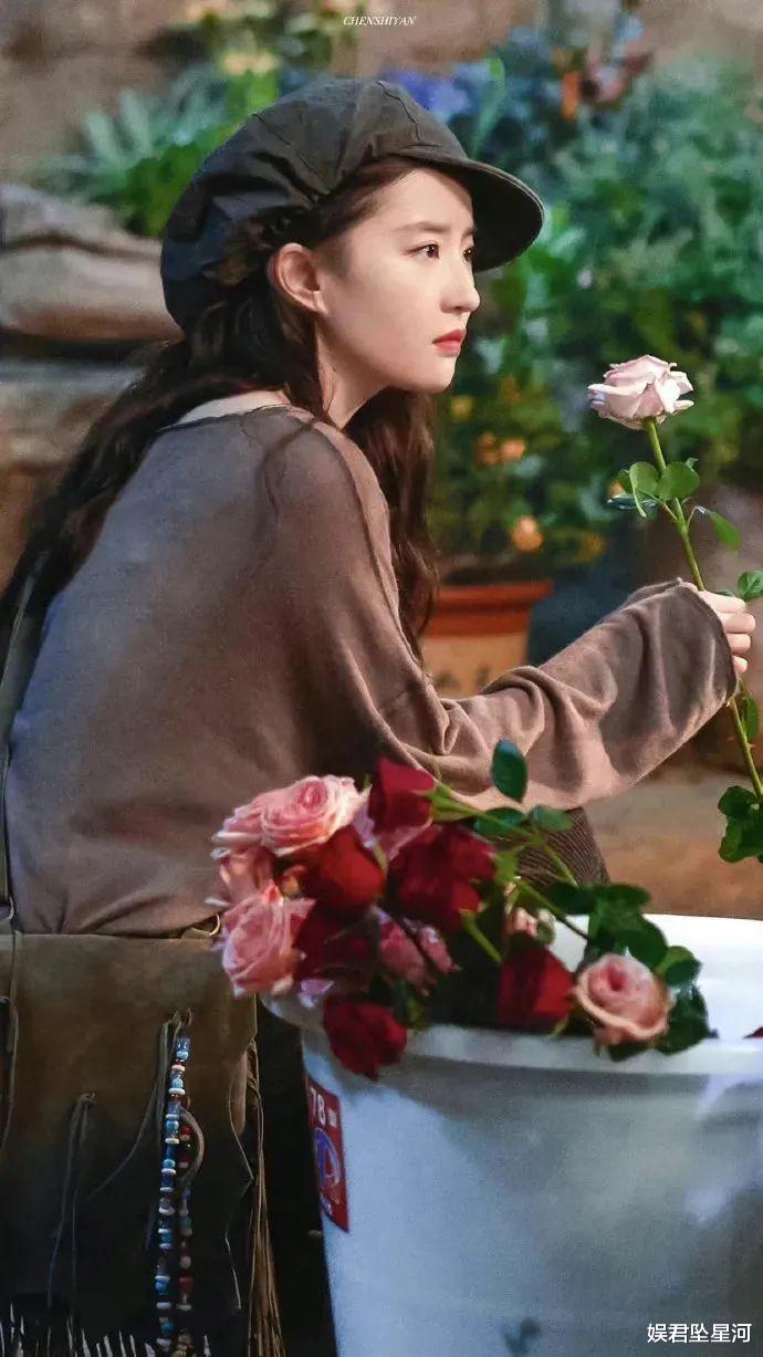 《玫瑰的故事》6主演片酬曝光:刘亦菲2500万最高,霍建华第2,林更新意外