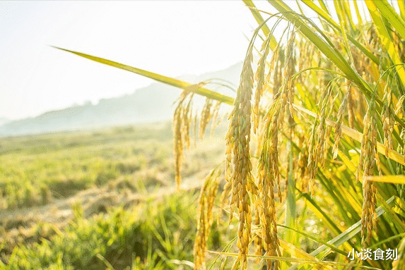 七月初四立秋，老人说：今年立秋不一般，有3个特点，和往年不同