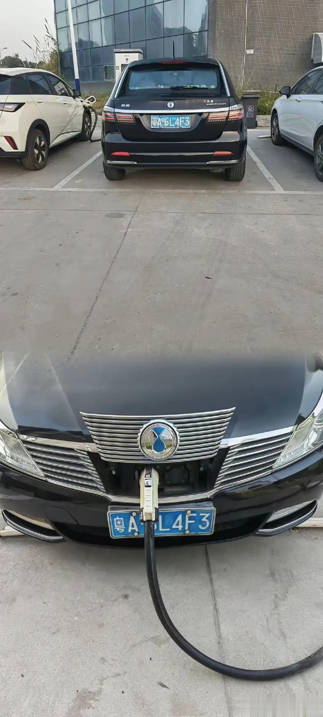 蓝牌的腾势！少见！ ?