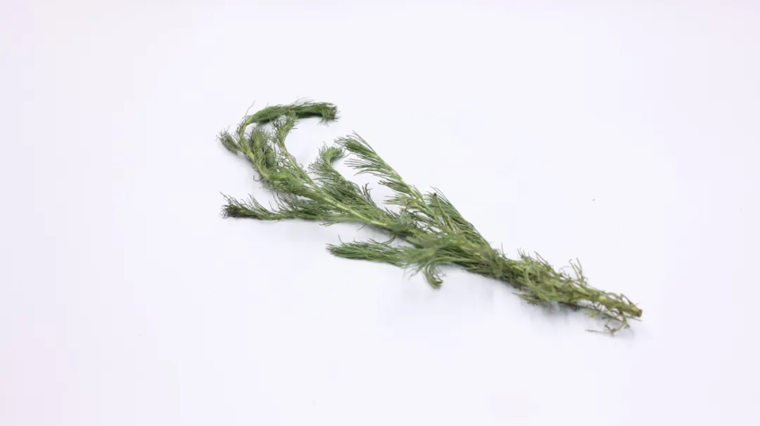 一味奇妙中药,养肝是灵丹,利胆是妙药,还抗癌、降三高、抗病毒