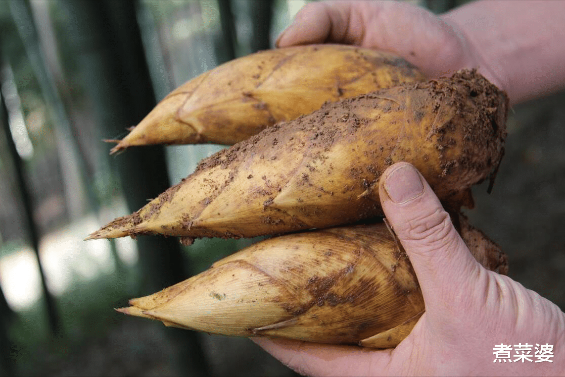 全国哪的笋子最好吃？经评过比，这5个地方上榜，看看有你家乡吗