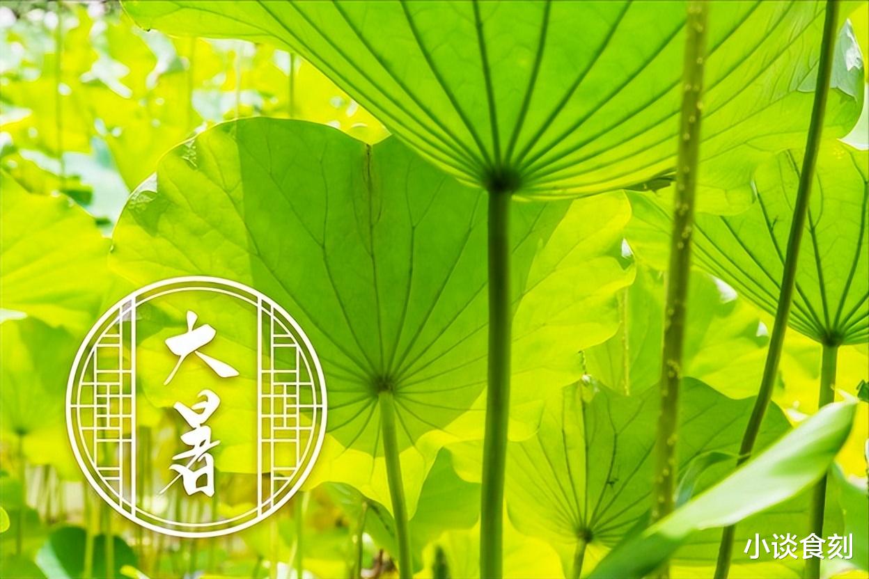 “小暑不算热,大暑三伏天”,今年啥时候最热?是大暑当天吗?