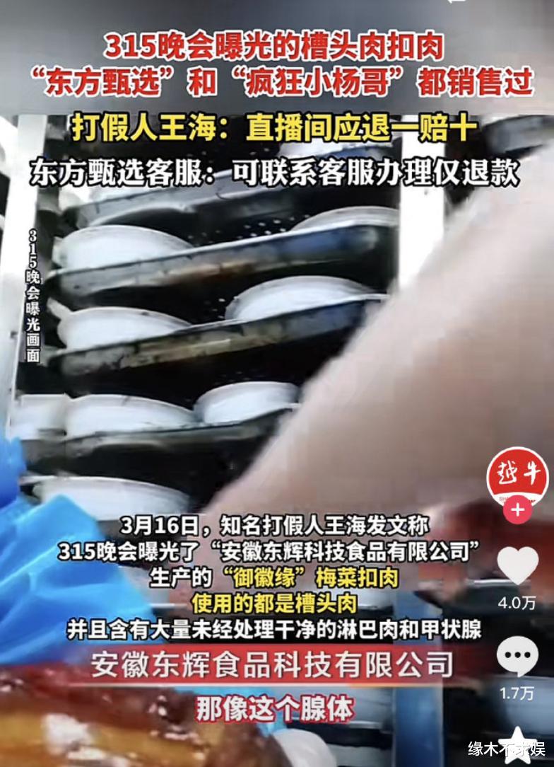 三只羊举目无亲!罗永浩下场力挺辛巴,还拉俞敏洪下水!