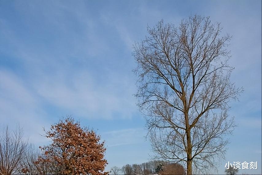 明年是蛇年，老人说：明年“一闰逢双春，秋冬仓库盈”，啥意思？