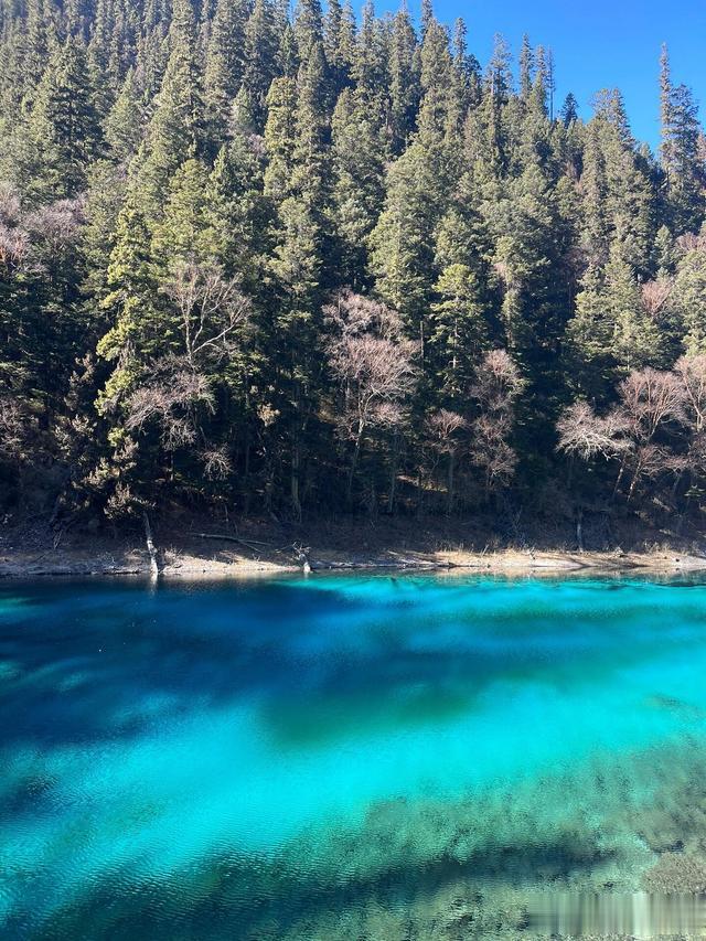 巨蟹座； 最不顺的3个年龄段，职场低谷，钱财难留，压力巨大