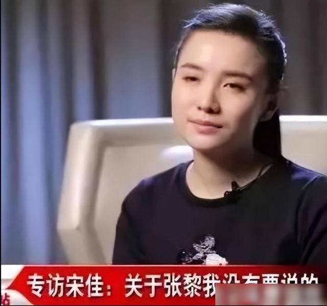 曾被4个男人狂追,与5婚导演同居5年,至今未婚的宋佳怎样了