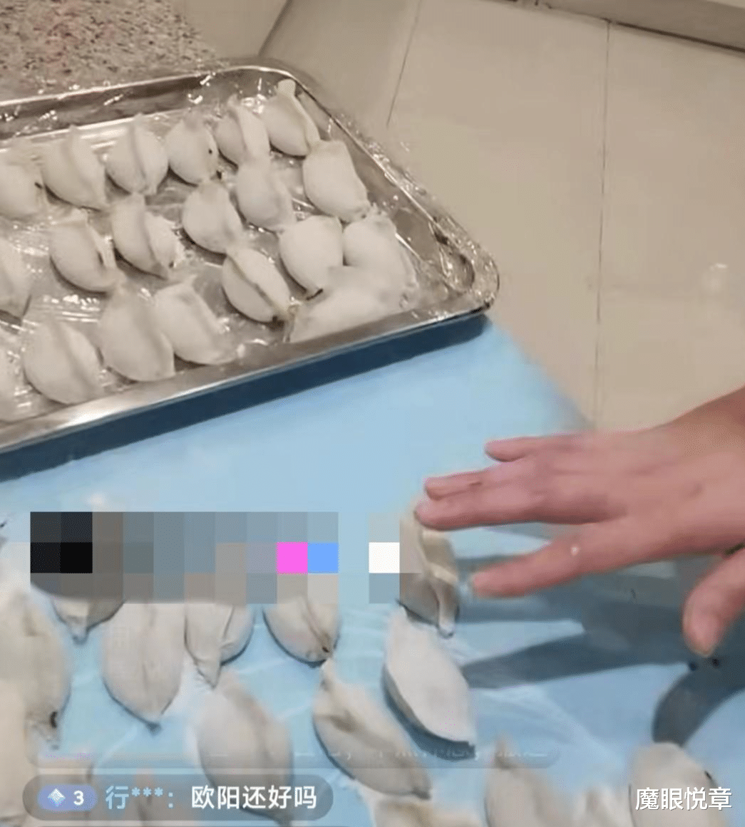 吉雪萍上直播：穿围裙包饺子，被指是过气主持人，笑脸回应不生气