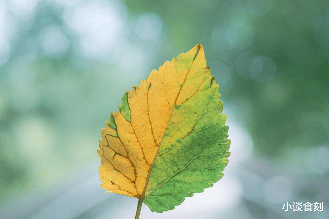 8月7日立秋,到底是“早秋凉,还是晚秋凉”?今年立秋在何时?