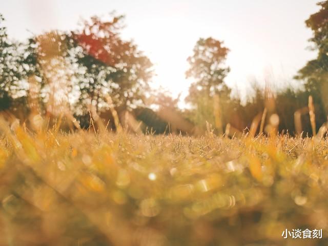 农历七月是“鬼月”,“鬼月三不出,不富也添喜”,哪3不出?