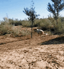 汤唯年轻时参加过选美比赛!眯眯眼,颜值普通,身材倒很火辣