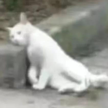 啧啧,刚曝光这满血小屏,来捣乱的吧?