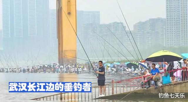 网传钓鱼要“办证”，垂钓备案时代或将到来，对钓鱼人算好事吗？
