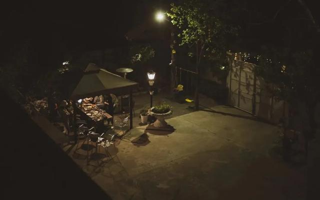 48岁张颂文北京的院子火遍全网,养花、种菜、养猫,让百万人羡慕