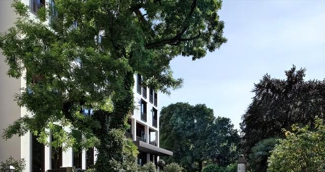 央视怒评!这一次,国家立场不明确的李湘,“遮羞布”彻底被撕碎