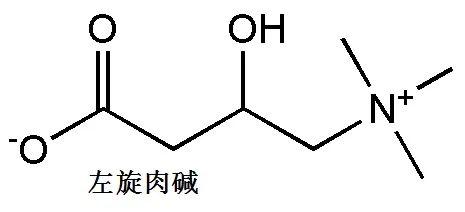 左旋肉碱在奶粉中的作用是什么？这不是减肥的吗？
