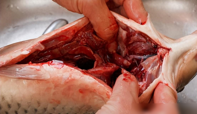 浑身都是“寄生虫”的4种鱼，卖鱼老板自己从来不吃，白送也别要