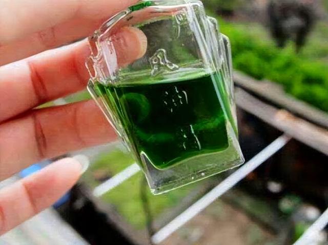 睡前滴一点风油精在肚脐，好处多多？真的吗