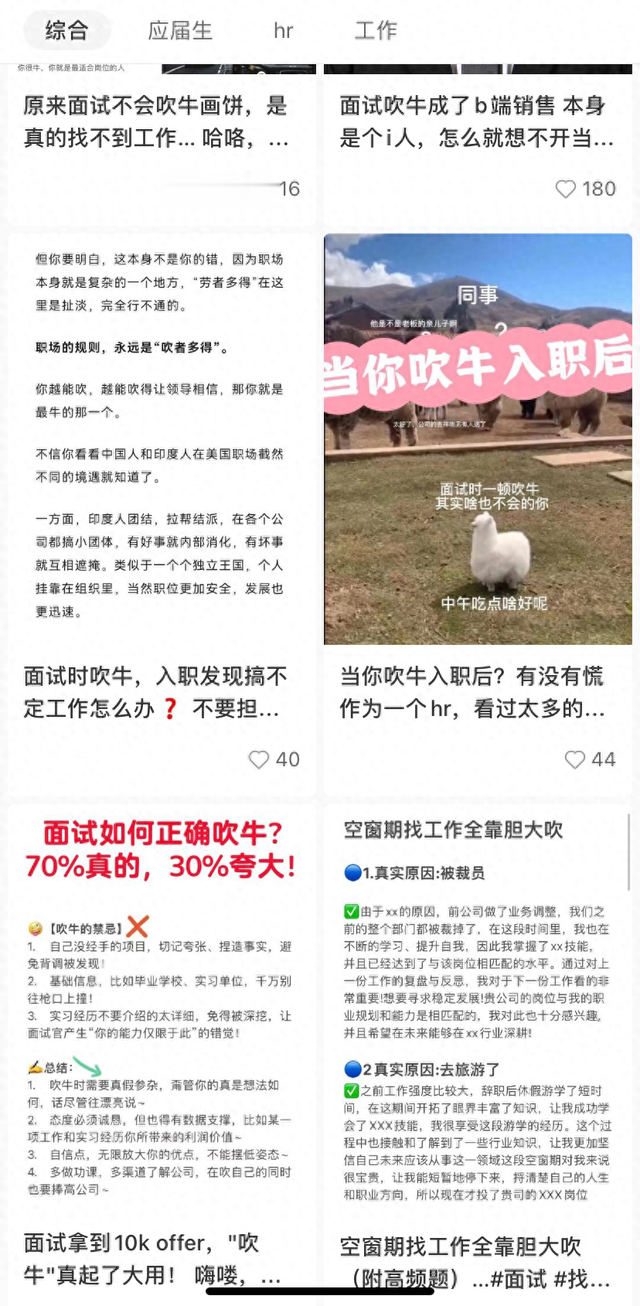 想拿offer，得先学会“吹牛”？