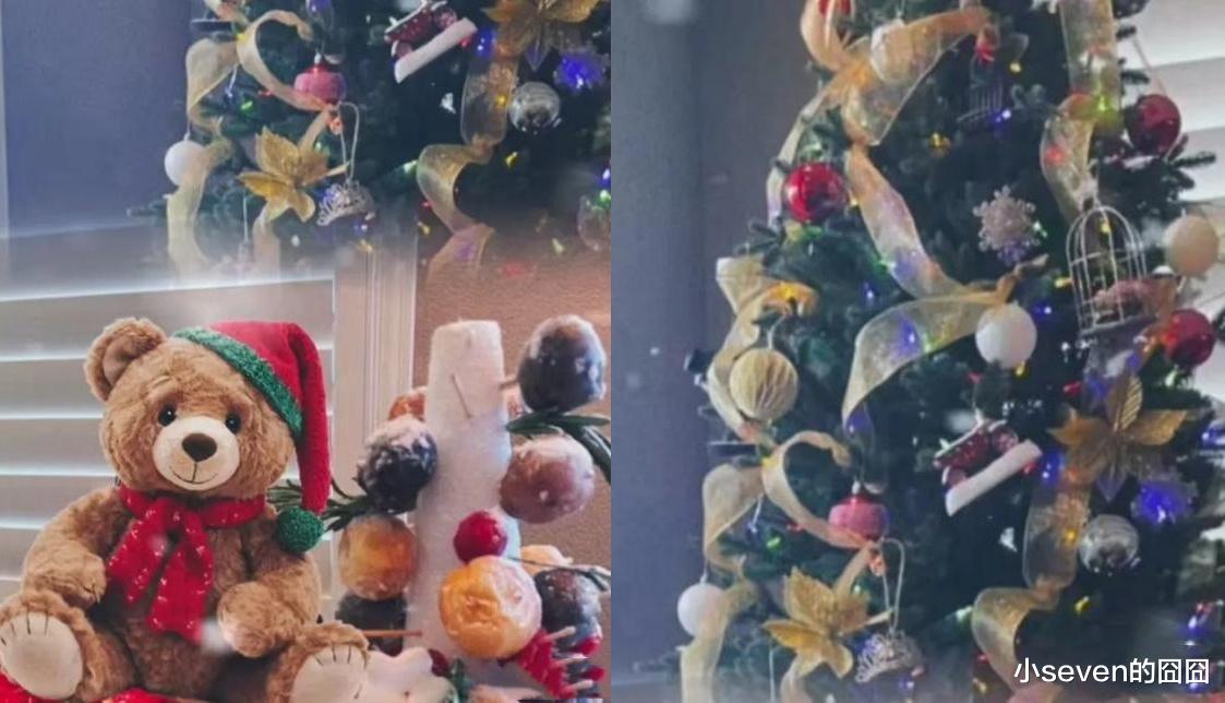 郑爽晒圣诞过节照被调侃，看似在美国生活潇洒，其实过得并不好