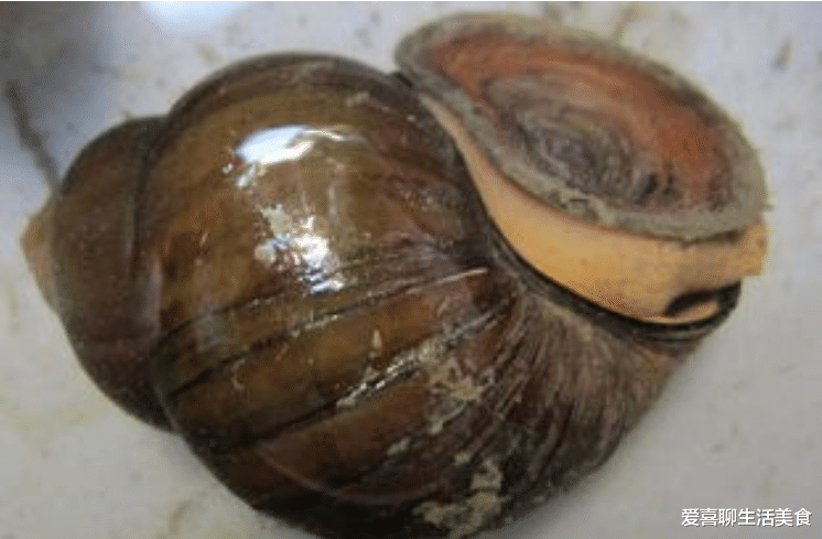 明日清明节，2事莫做、3俗要守、4食要吃，尊重老传统，子孙福气多