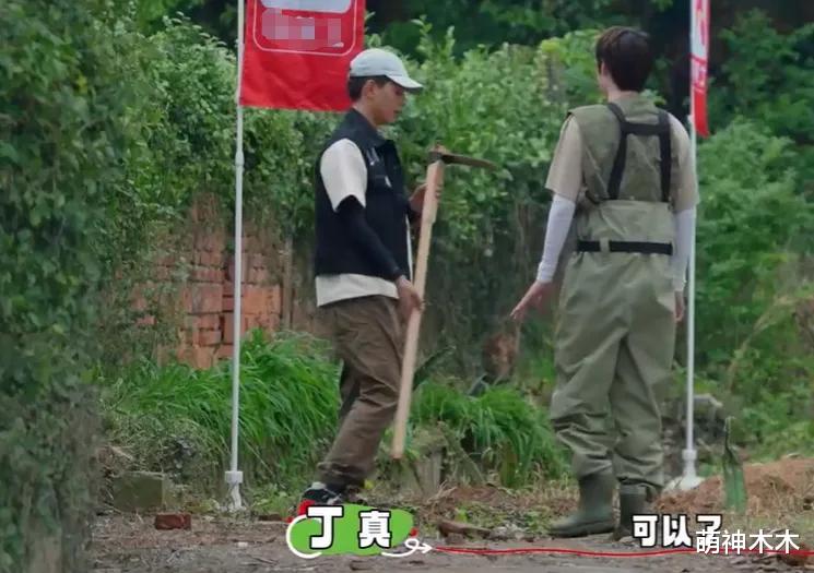 丁真上综艺被欺负！明星嘉宾抱团哄他多干活，面对镜头毫不掩饰