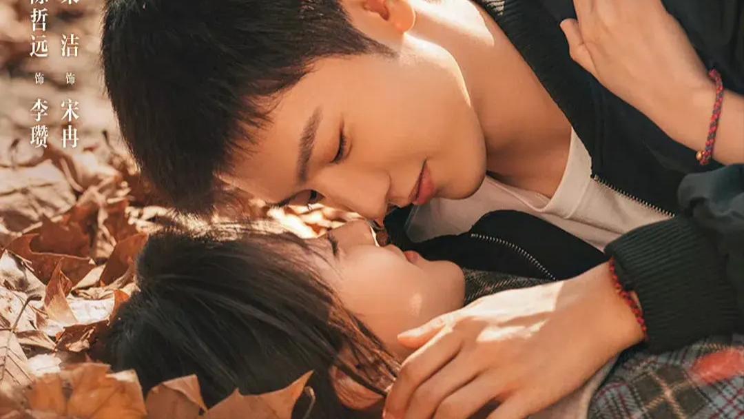 陈哲远和梁洁的《白色橄榄树》，即将接档《四方馆》。