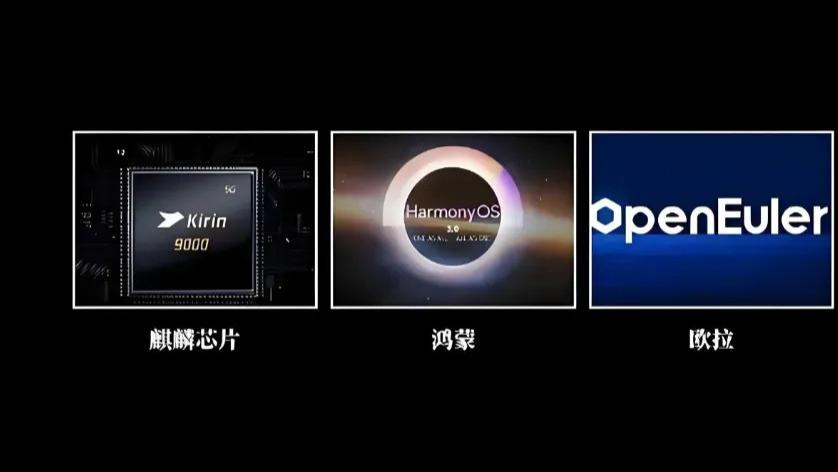 10元低价王者，踩中欧拉、鸿蒙、昇腾三大风口，跨年王者非它莫属