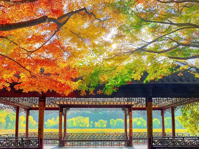 告别九月，喜迎十月，小众温柔十月文案，高级感满满~