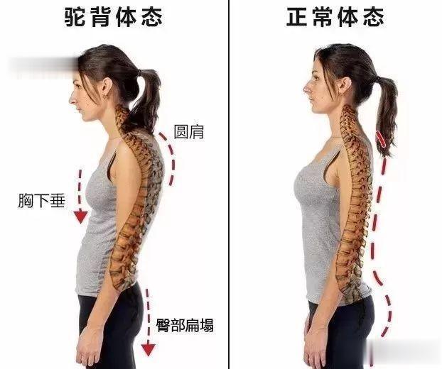 健身塑形、对抗衰老，为何要重视背部，如何训练打造年轻体态？