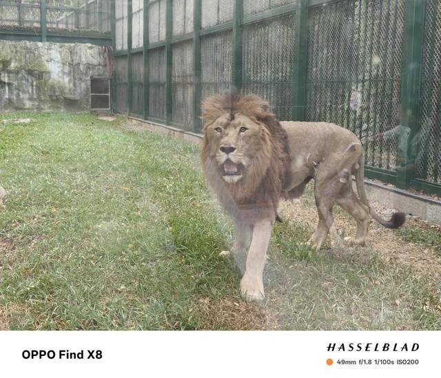 176W!小米这1TB小屏,又碾压全场