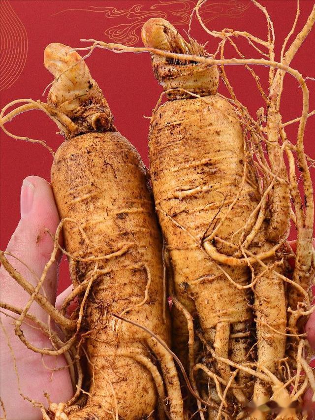 我，山东人，对遥远的吉林有8大疑问，在家想了3天，实在没想明白