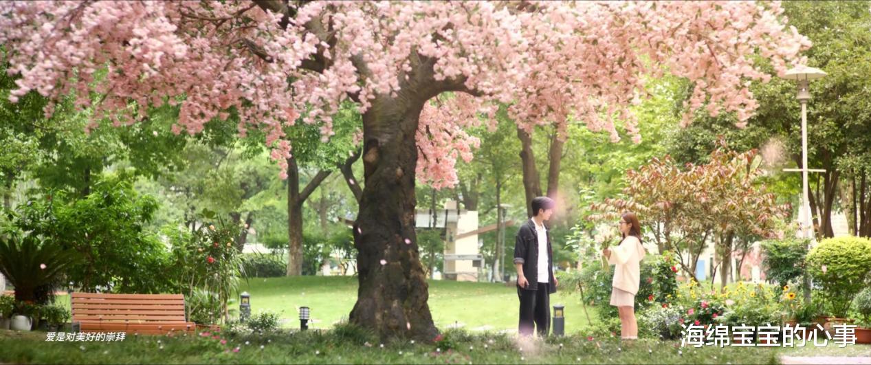 看完张凌赫新剧《爱你》,不禁感慨:留给待爆帝的时间不多了!