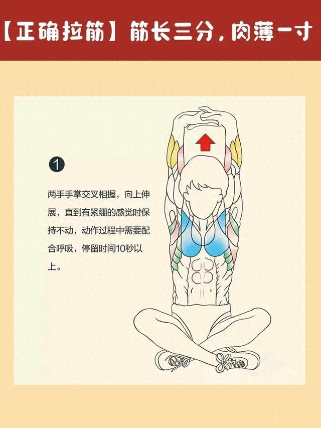 你以为练瑜伽才需要拉筋,实际上拉筋的人太多了,因为筋长命就长