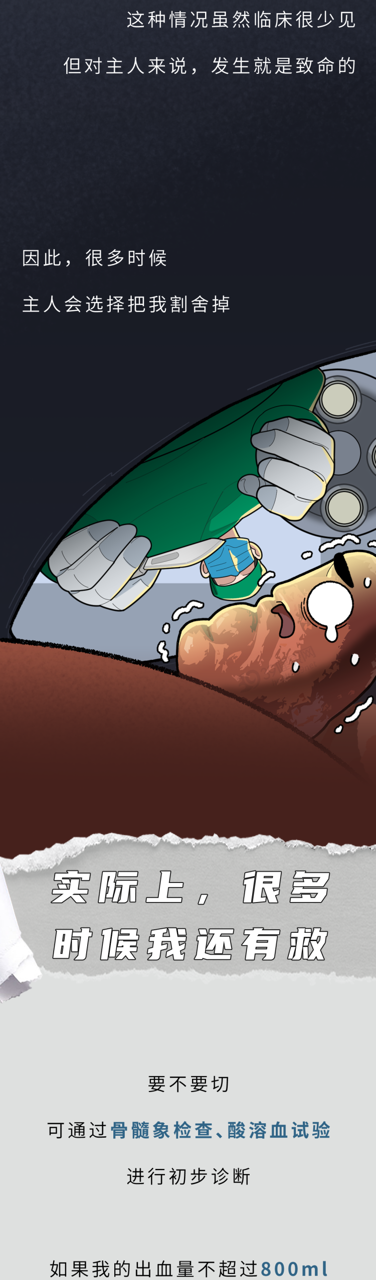 人体最没用的器官，拿掉也不会死，反而对身体更好？看完涨知识了