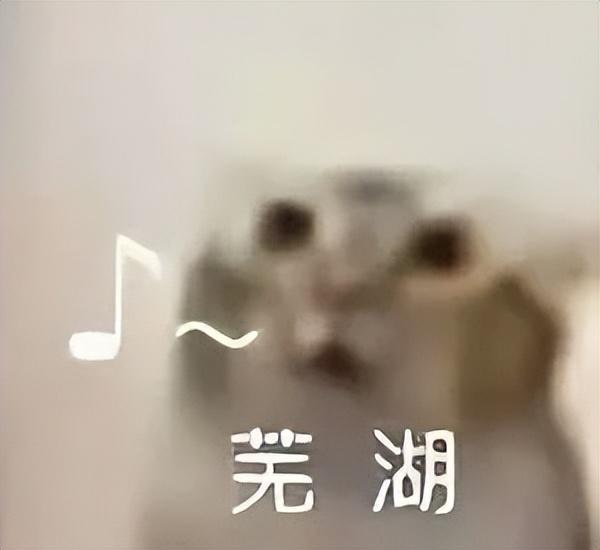 176W!小米这1TB小屏,又碾压全场