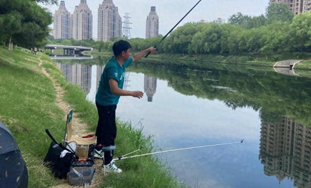 夏天鱼儿更喜欢香饵？实测情况出乎意料，经验主义不可取