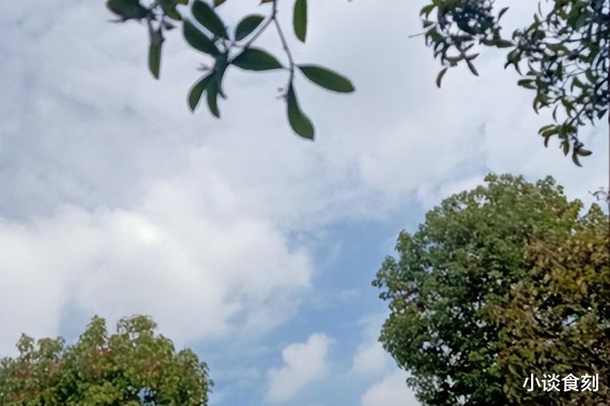 老人说“最怕廿二日头照”,农历二月廿二是啥日子?为啥怕晴天?