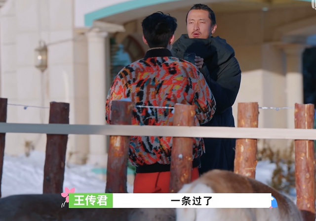 王鹤棣|王鹤棣又来跑男了,和白鹿合体,同行的还有段晓薇