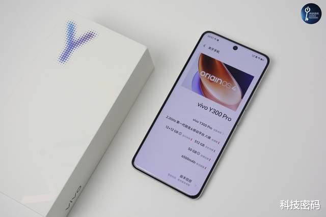 超长续航还有出色的拍照体验，双十一vivo Y300 Pro可以闭眼入了