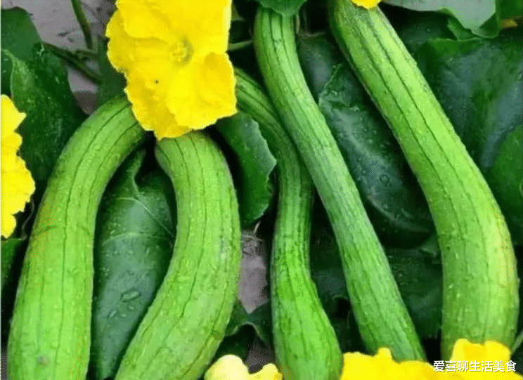 丝瓜和它们一起吃，就是自讨苦吃，很多人不知道，还经常搭配着吃！