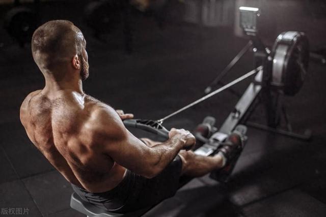 瘦胖子先减肥还是增肌？一文看完就有答案了