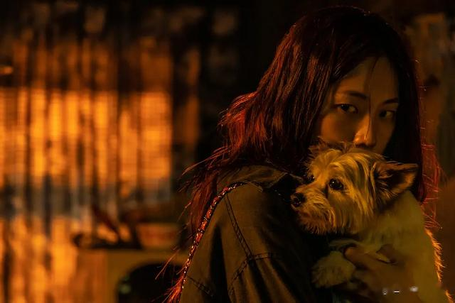 Netflix出品:五部让人“欲罢不能”的超爽剧集,新题材不看可惜