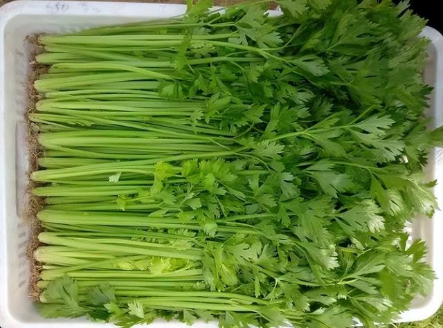 香蕉、蜂蜜不通便！平时多吃这种“天然泻剂”，让你排便顺畅