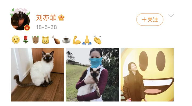 36岁刘亦菲近况曝光,全网羡慕:不恋爱、不合群,养了60只猫!